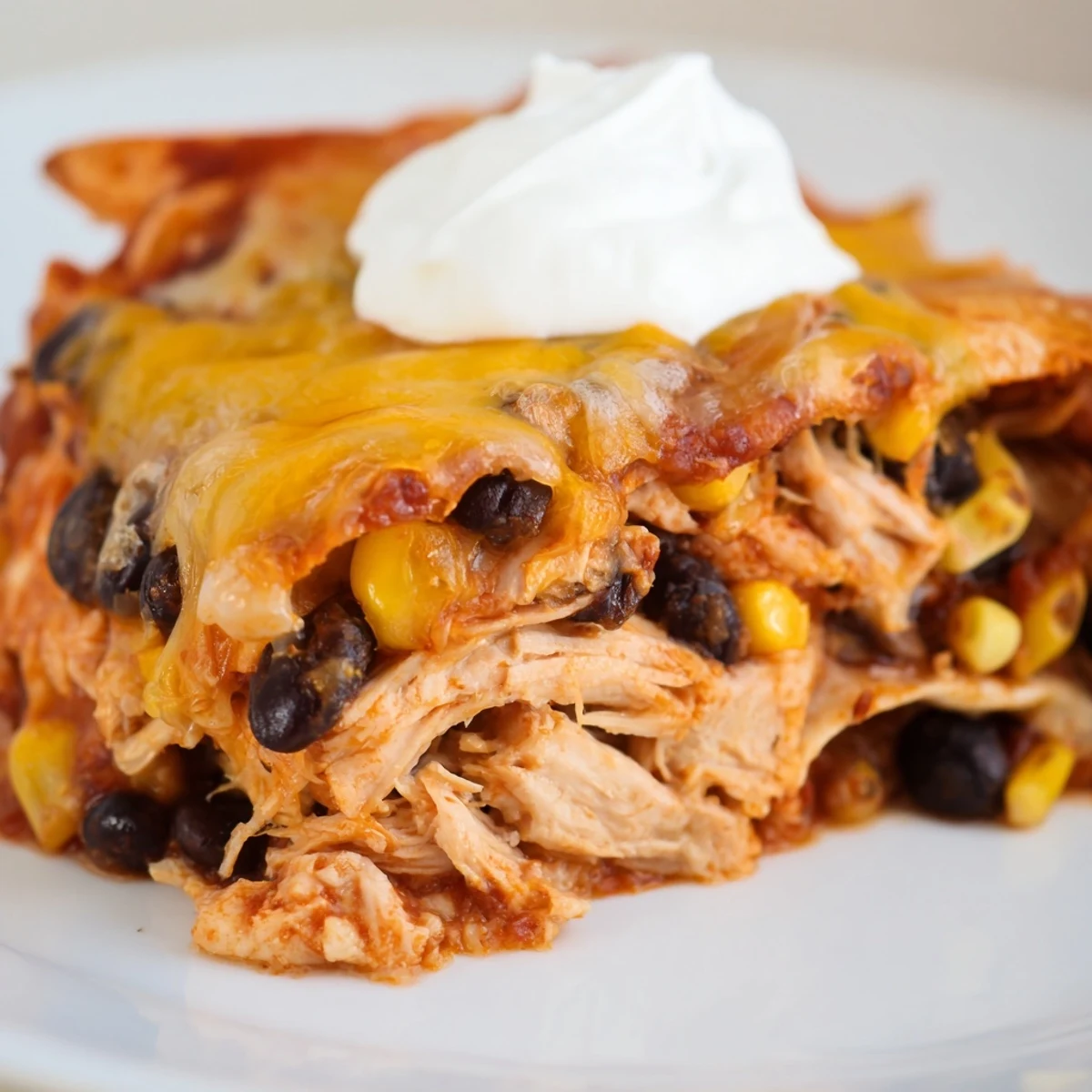 Fresh cilantro and avocado slices garnish a hearty slice of Chicken Enchilada Casserole, served on a plate.