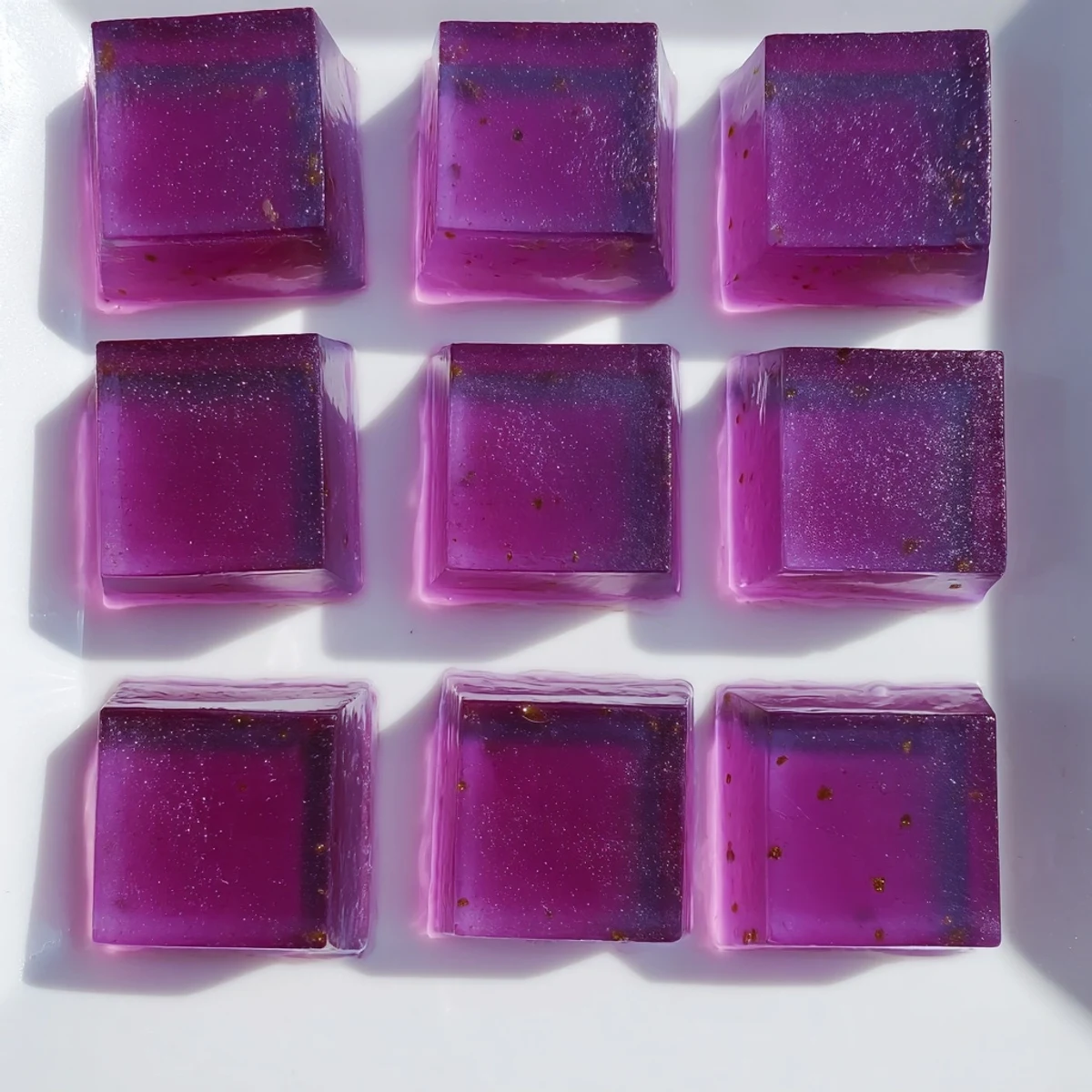 Probiotic Jello Snacks